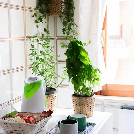 El Meskiny Apartment Rom