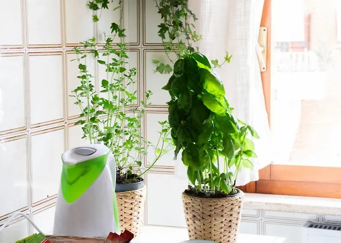 El Meskiny Apartment Rom